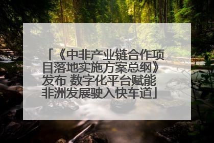 《中非产业链合作项目落地实施方案总纲》发布 数字化平台赋能非洲发展驶入快车道