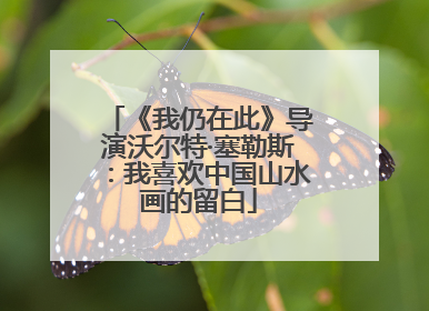《我仍在此》导演沃尔特·塞勒斯：我喜欢中国山水画的留白