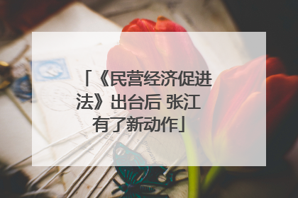 《民营经济促进法》出台后 张江有了新动作