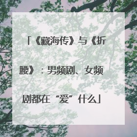 《藏海传》与《折腰》：男频剧、女频剧都在“爱”什么