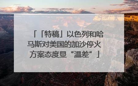 「特稿」以色列和哈马斯对美国的加沙停火方案态度显“温差”