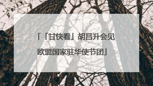 「甘快看」胡昌升会见欧盟国家驻华使节团