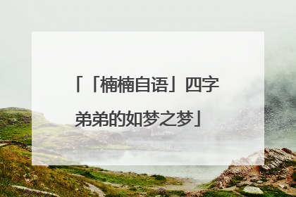 「楠楠自语」四字弟弟的如梦之梦