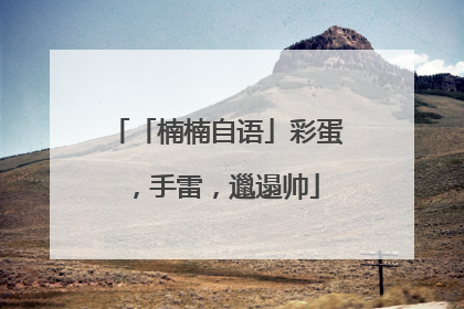 「楠楠自语」彩蛋，手雷，邋遢帅