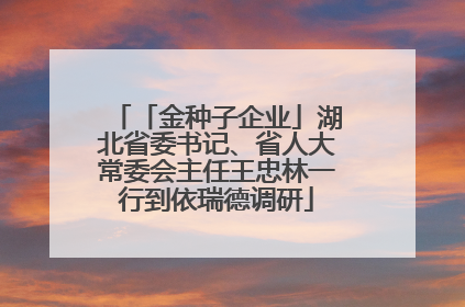 「金种子企业」湖北省委书记、省人大常委会主任王忠林一行到依瑞德调研