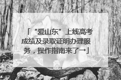 “爱山东”上线高考成绩及录取证明办理服务，操作指南来了→