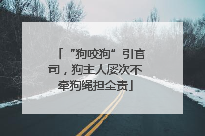 “狗咬狗”引官司，狗主人屡次不牵狗绳担全责