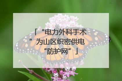 “电力外科手术”为山区织密供电“防护网”