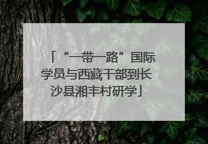 “一带一路”国际学员与西藏干部到长沙县湘丰村研学