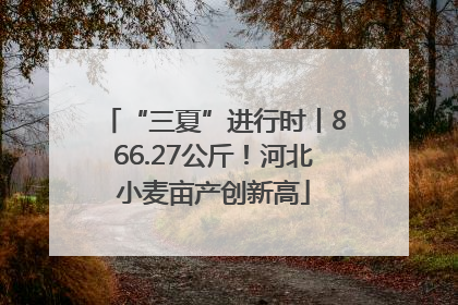 “三夏”进行时丨866.27公斤！河北小麦亩产创新高
