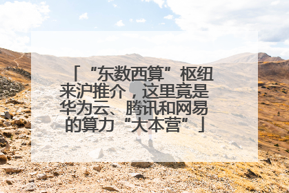“东数西算”枢纽来沪推介，这里竟是华为云、腾讯和网易的算力“大本营”