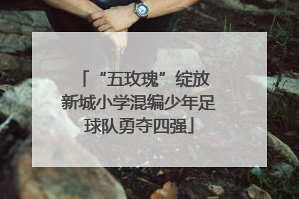“五玫瑰”绽放 新城小学混编少年足球队勇夺四强