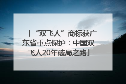 “双飞人”商标获广东省重点保护：中国双飞人20年破局之路