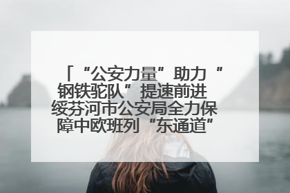 “公安力量”助力“钢铁驼队”提速前进 绥芬河市公安局全力保障中欧班列“东通道”绥芬河隧道贯通
