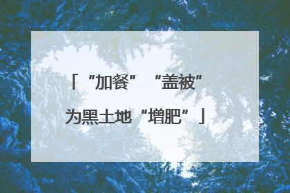“加餐”“盖被” 为黑土地“增肥”