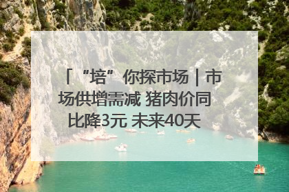 “培”你探市场｜市场供增需减 猪肉价同比降3元 未来40天便宜猪肉敞开吃