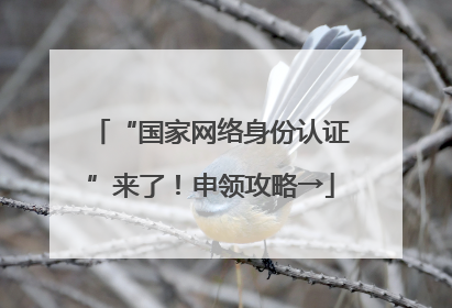 “国家网络身份认证”来了！申领攻略→