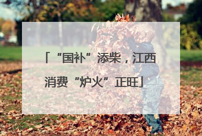 “国补”添柴，江西消费“炉火”正旺