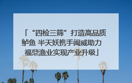 “四检三筛”打造高品质鲈鱼 半天妖携手闽威助力福鼎渔业实现产业升级