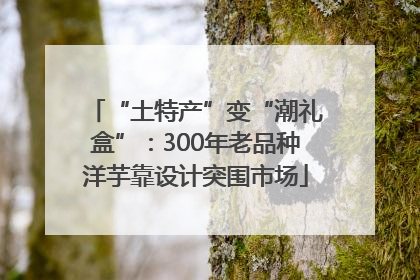 “土特产”变“潮礼盒”：300年老品种洋芋靠设计突围市场