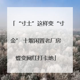 “寸土”这样变“寸金” 十堰闲置老厂房蝶变网红打卡地
