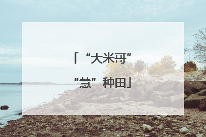 “大米哥”“慧”种田