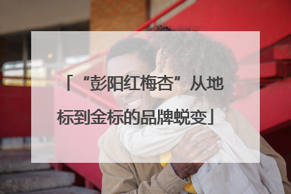 “彭阳红梅杏”从地标到金标的品牌蜕变