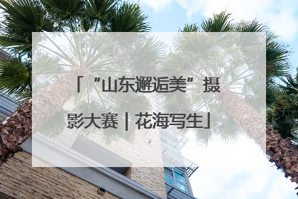 “山东邂逅美”摄影大赛｜花海写生