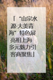 “山宗水源·大美青海”特色展亮相上海 多元魅力引客商聚焦