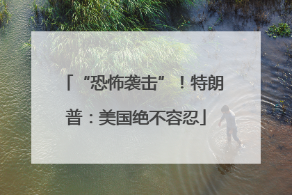 “恐怖袭击”！特朗普：美国绝不容忍