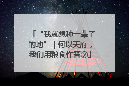 “我就想种一辈子的地”｜何以天府，我们用粮食作答②