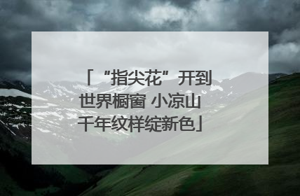“指尖花”开到世界橱窗 小凉山千年纹样绽新色