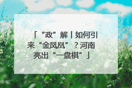 “政”解丨如何引来“金凤凰”？河南亮出“一盘棋”