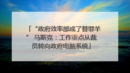“政府效率部成了替罪羊” 马斯克：工作重点从裁员转向政府电脑系统