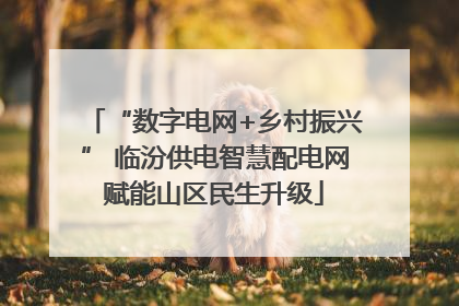 “数字电网+乡村振兴” 临汾供电智慧配电网赋能山区民生升级