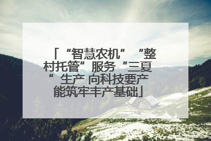 “智慧农机”“整村托管”服务“三夏”生产 向科技要产能筑牢丰产基础