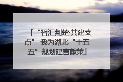 “智汇荆楚·共建支点” 我为湖北“十五五”规划建言献策
