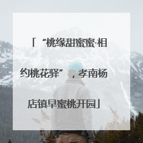 “桃缘甜蜜蜜·相约桃花驿”，孝南杨店镇早蜜桃开园