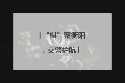“棋”聚衡阳，交警护航