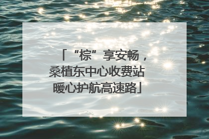 “棕”享安畅，桑植东中心收费站暖心护航高速路