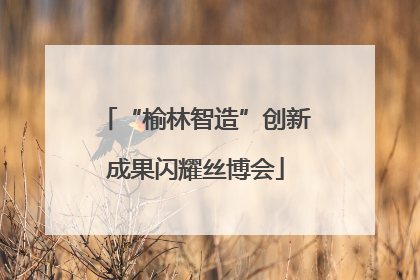 “榆林智造”创新成果闪耀丝博会