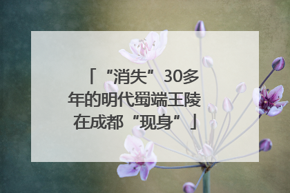“消失”30多年的明代蜀端王陵在成都“现身”