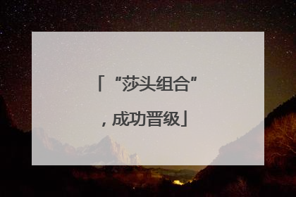 “莎头组合”，成功晋级