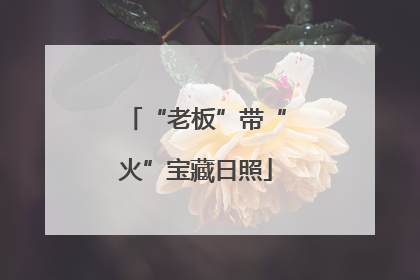 “老板”带“火”宝藏日照