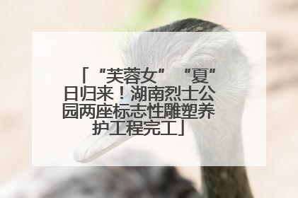 “芙蓉女”“夏”日归来！湖南烈士公园两座标志性雕塑养护工程完工