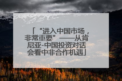 “进入中国市场，非常重要”——从肯尼亚-中国投资对话会看中非合作机遇