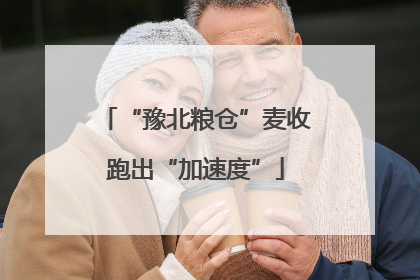 “豫北粮仓”麦收跑出“加速度”