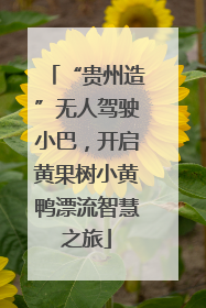 “贵州造”无人驾驶小巴，开启黄果树小黄鸭漂流智慧之旅