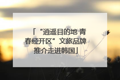 “逍遥目的地 青春经开区”文旅品牌推介走进韩国