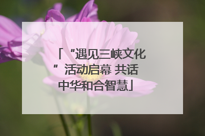“遇见三峡文化”活动启幕 共话中华和合智慧